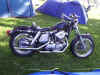 pretty sportster.jpg (99972 bytes)
