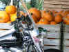 pumpkin.jpg (333897 bytes)