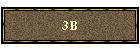 3B