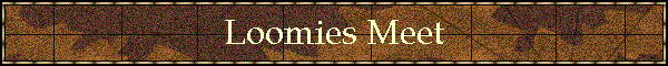 Loomies Meet