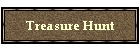 Treasure Hunt