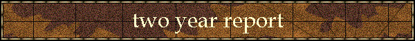 two year report